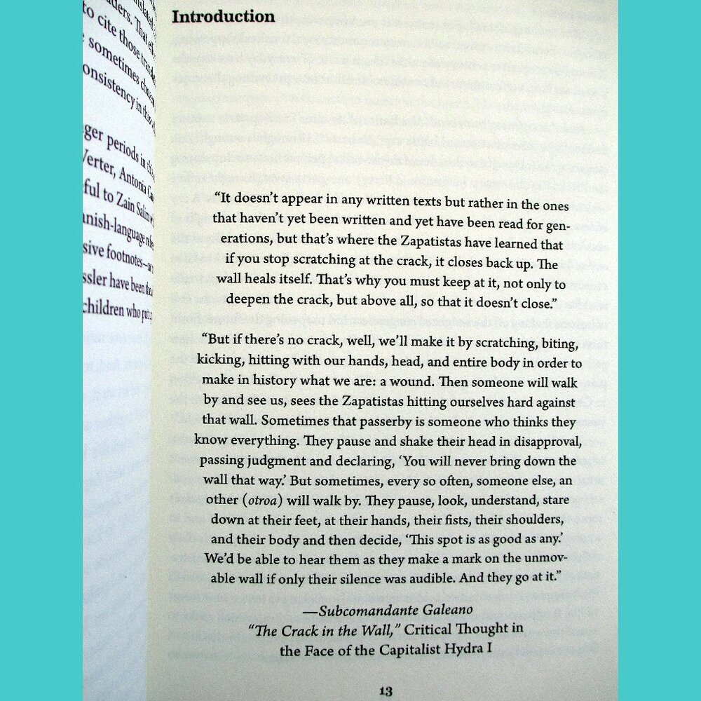 Book -  The Zapatista Experience: Rebellion, Resistance, and Autonomy - Picture 5 of 13
